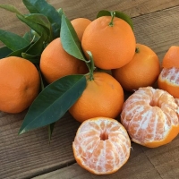 Mandarina 10 Kg